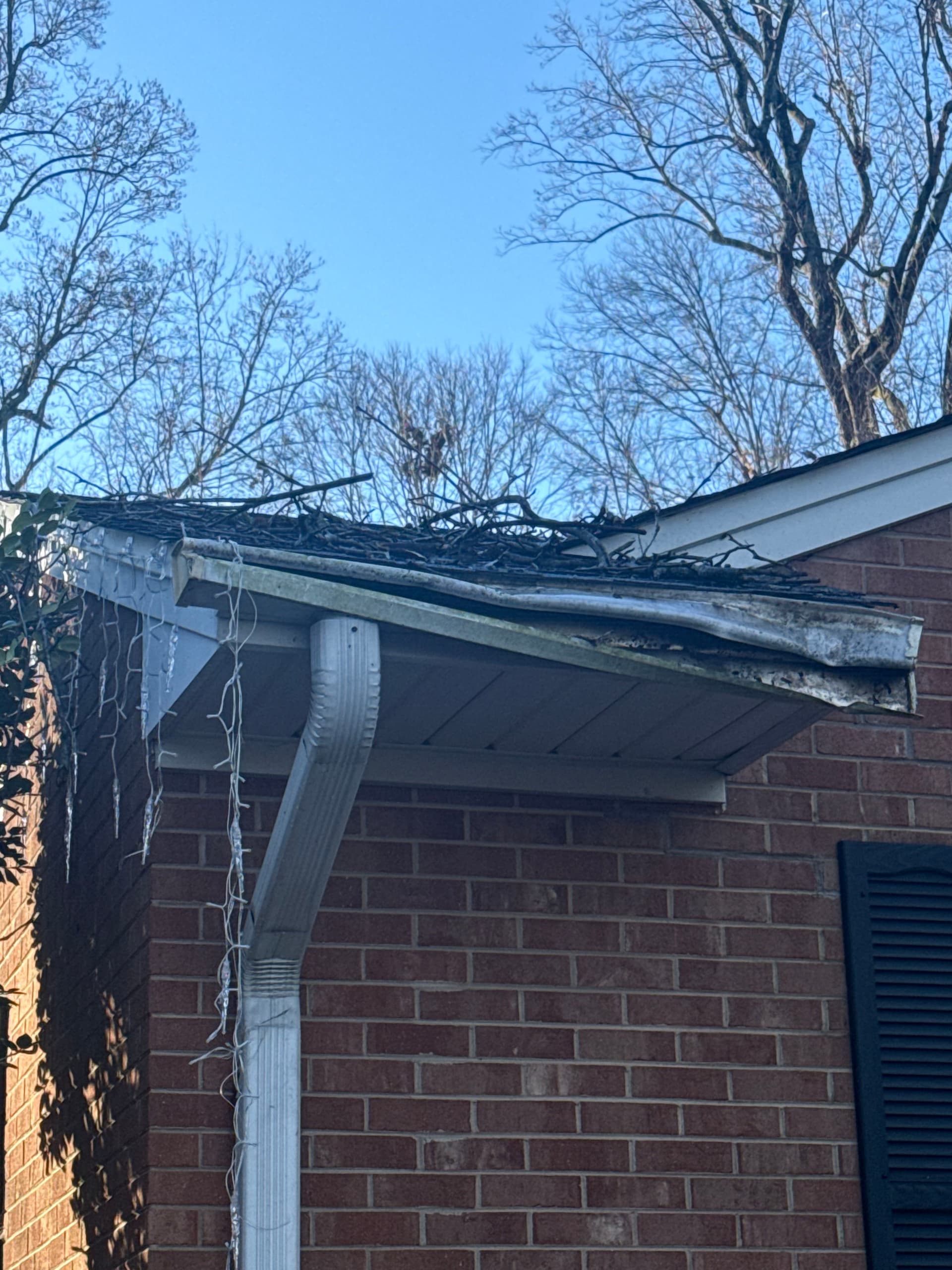 Roof Repairs After Storm Damage