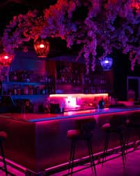 Vibrant bar interior with colorful lighting and floral decorations, inviting atmosphere.