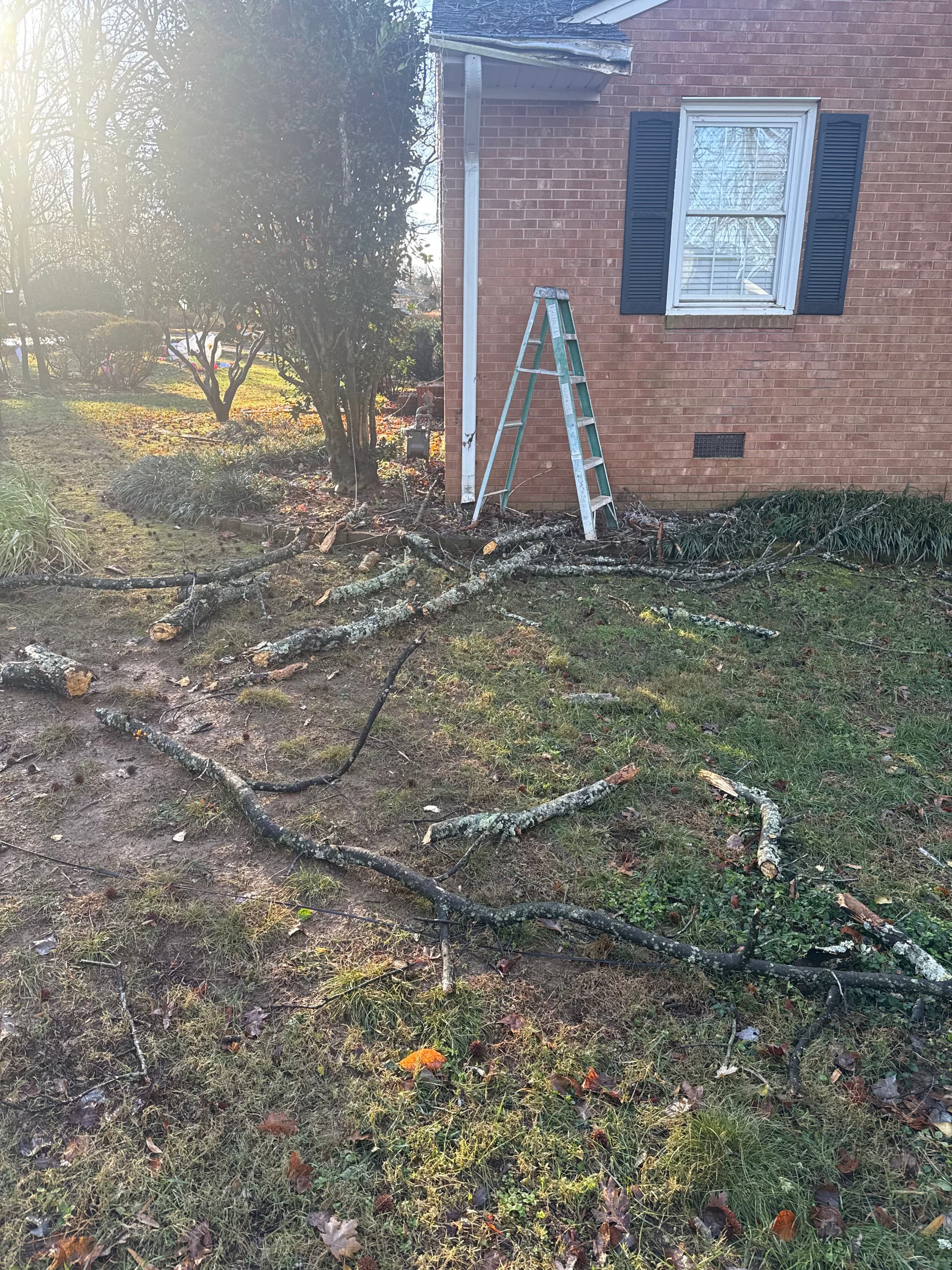 Roof Repairs After Storm Damage