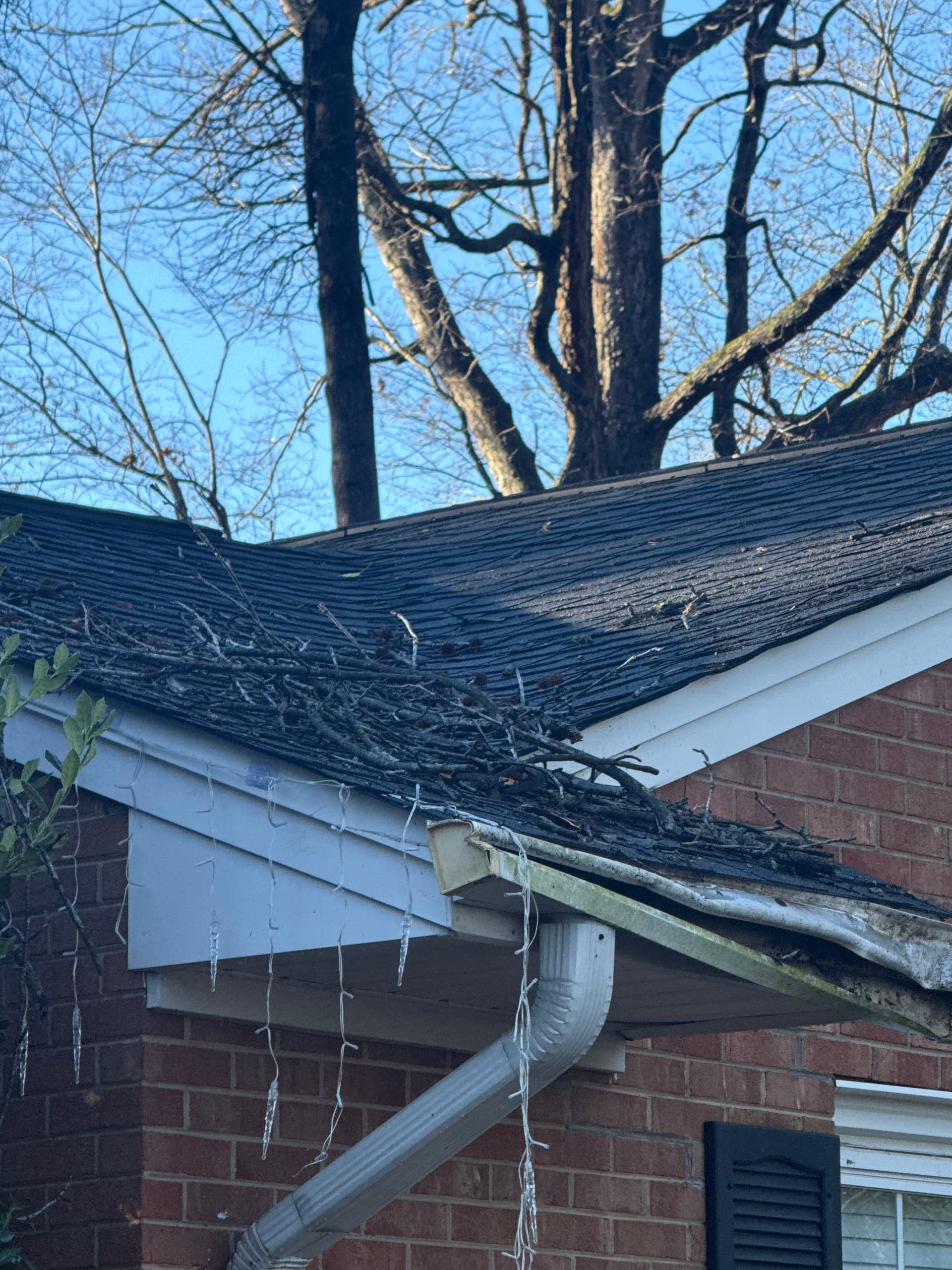 Roof Repairs After Storm Damage
